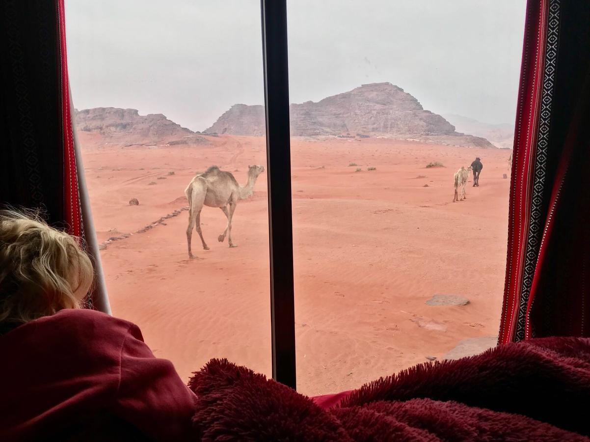 Wadi Rum Starlight Camp Экстерьер фото